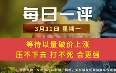 【每日一评】等待以量破价上涨 压不下去 打不死 会更强 3-31